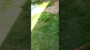 Глушитель для генератора