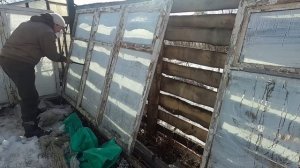 В  ДЕРЕВНЕ ПРОСТООЛЕЖКИНО, Ташкентский парень с Урала НОВОСТИ О ЖИЗНИ (?)