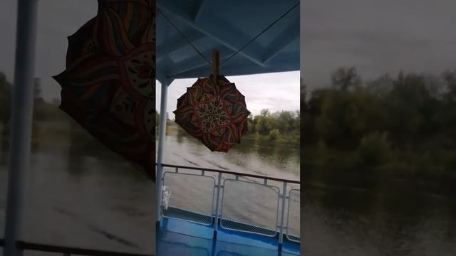 Мандалы мастерской Лады Невской! #shorts #антистресс #рисуем #мандалы #mandala #antistress #drawin смотреть онлайн