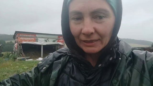 Козы любят и злую хозяйку.Как же козлу плохо,аж шкура слазиет.С козами в сильный ливень.