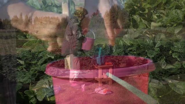 Осеннее опрыскивание смотреть онлайн