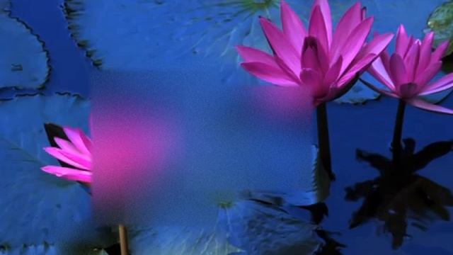 MANTRA OM SOHAM. Armonizar nuestras energías vitales . Mantra.Meditaciòn смотреть онлайн