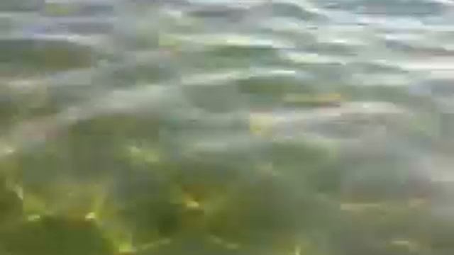 Гардения надуваем лодку без насоса 2012.3gp смотреть онлайн