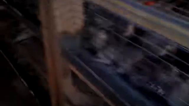 Перепілки (quail ) смотреть онлайн