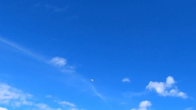 FMS 1280mm Easy Trainer V2 – The Ultimate Beginner's Plane?