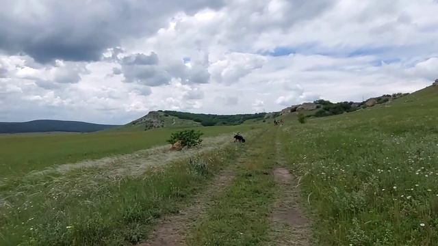 САРЫ-КАЯ (Крым неизвестный): курган скифов, петроглифы сармат и "сырные" скалы тафони смотреть онлайн