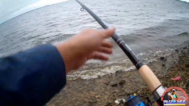 ЛЕЩ НА ПШЕНО!!!!10кг рыбы (за 4часа). Рыбалка на донки(фидер). Крупные ЛЕЩИ!!!! смотреть онлайн