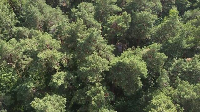 Глэмпинг. Ступино. Проект 2022 г. смотреть онлайн