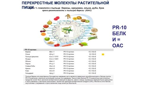 10 Nakonechna A Інтерпретація результатів молекулярної діагностики ImmunoCap ISAC складності т смотреть онлайн