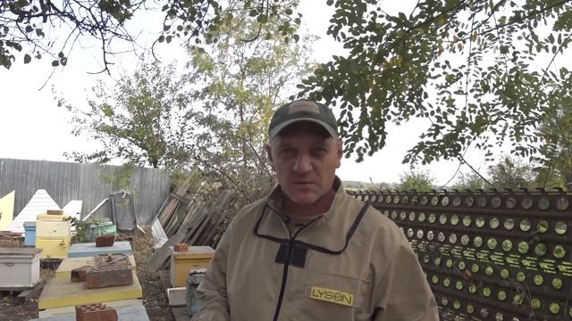 ИТОГИ ОБРАБОТКИ ПЧЕЛ. ЩАВЕЛЕВОЙ КИСЛОТОЙ (методом возгонки) смотреть онлайн