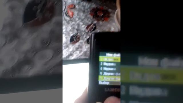 как я качаю игры на телефон Samsung gt-e2121b через Bluetooth! смотреть онлайн