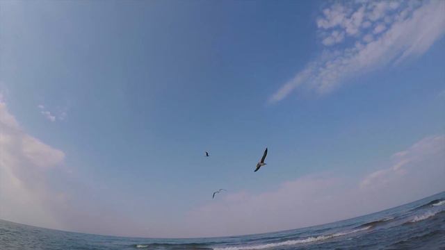 GoPro Arlenok Elya смотреть онлайн