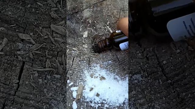 We're Extracting Fire / Добываем огонь #bushcraft #outdoors #camping #survival