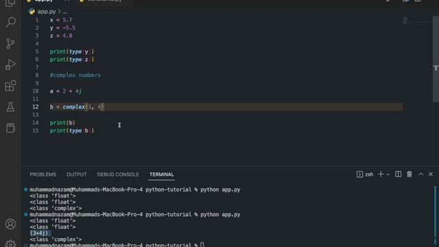 Python Tutorial : Numbers In Python ( Data Types ) #datatypesinpython смотреть онлайн