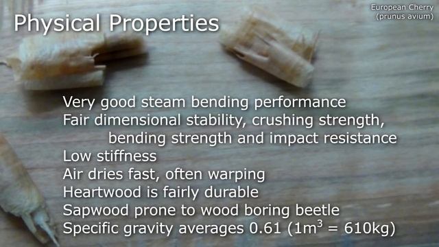 European Cherry (prunus avium) - Mitch's World of Woods смотреть онлайн