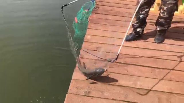 Большой водоем смотреть онлайн