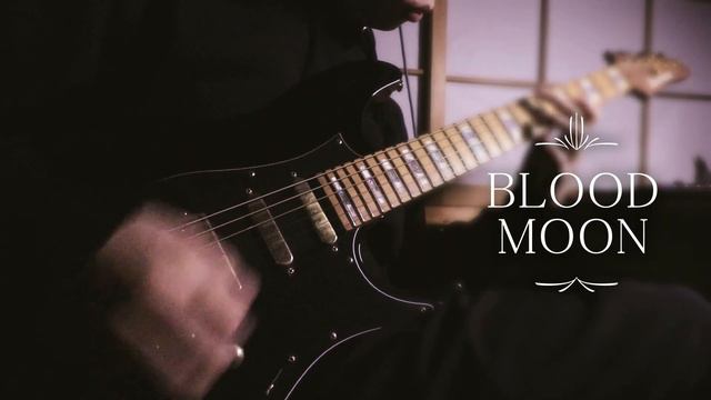 Tim Henson ｢Blood Moon｣ Guitar Cover смотреть онлайн
