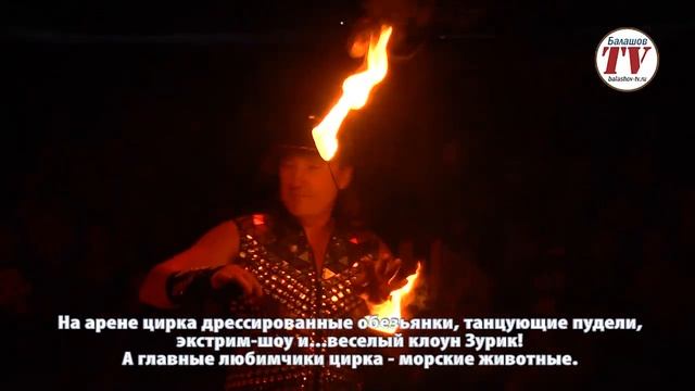 ПЕРВОЕ ПРЕДСТАВЛЕНИЕ ЦИРКА "БЕЛИССИМО" В БАЛАШОВЕ ПРОШЛО ПРИ ПОЛНОМ АНШЛАГЕ. смотреть онлайн