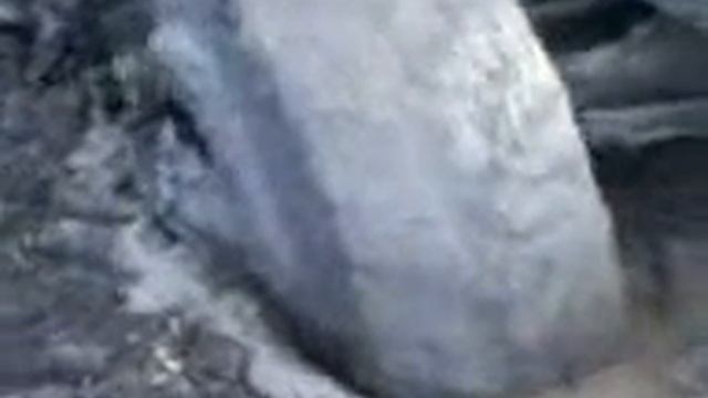 мтз1221.засадил до конца смотреть онлайн