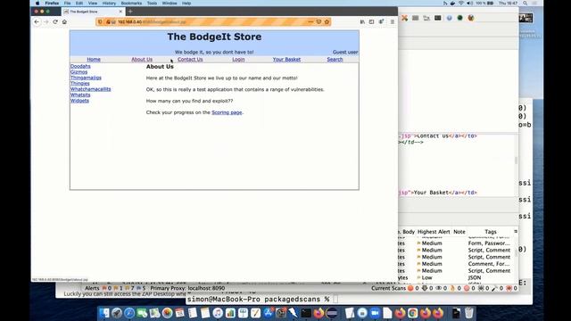 ZAP Deep Dive: Authenticated Packaged Scans смотреть онлайн