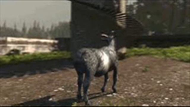 Goat Simulator in real life! смотреть онлайн