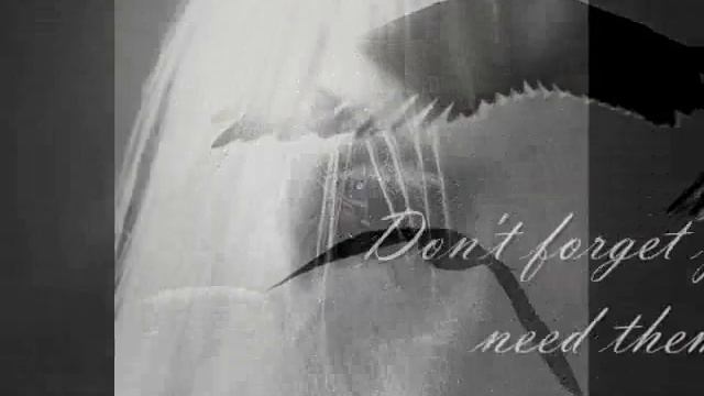 The White Rider - All of Us feat. Samu Haber with lyrics смотреть онлайн