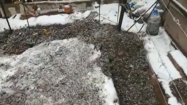 Укрытие винограда на зиму землей.