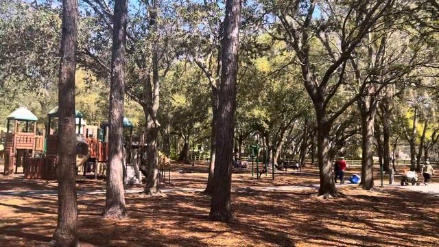 ДЕТЯМ НРАВИТСЯ! ФЛОРИДА ФЕВРАЛЬ смотреть онлайн