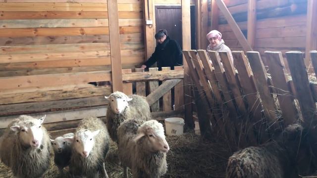 Приехали гости с хутора. Она это сделала. Мама открыла свой канал. Хутор мамы Ларисы.. смотреть онлайн