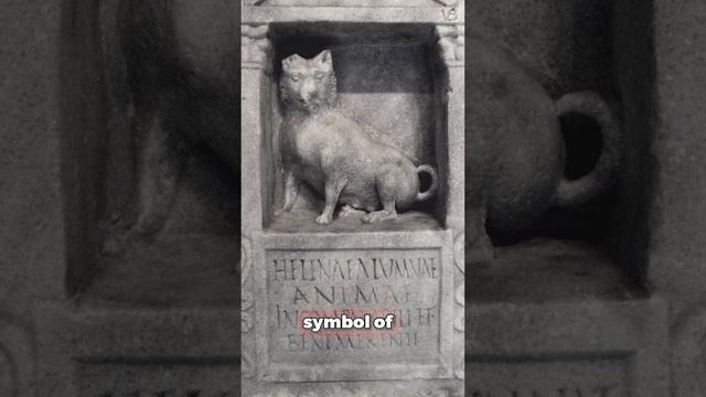 Guard Dogs Against Spirits смотреть онлайн