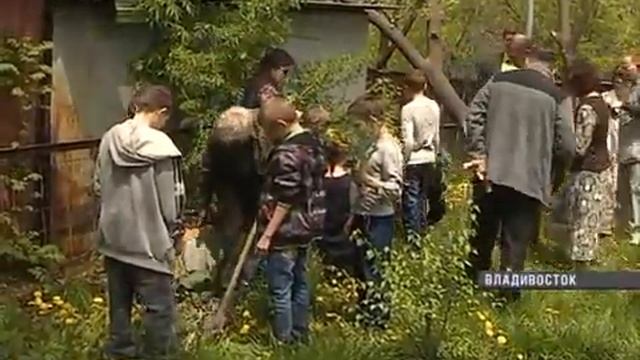 «Сад семьи» появился во дворе детской психиатрической больницы смотреть онлайн