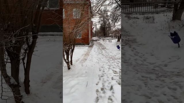 Сергиевские минеральные воды. Прогулка по парку смотреть онлайн