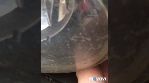 Как заменить лампочки в птф Volkswagen polo