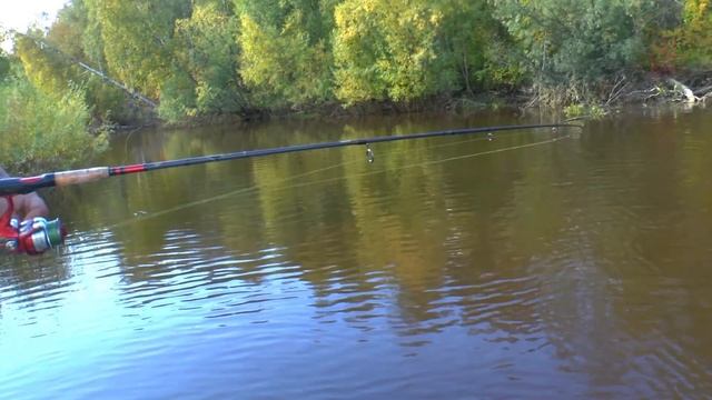 Рыбалка на севере. Обь.