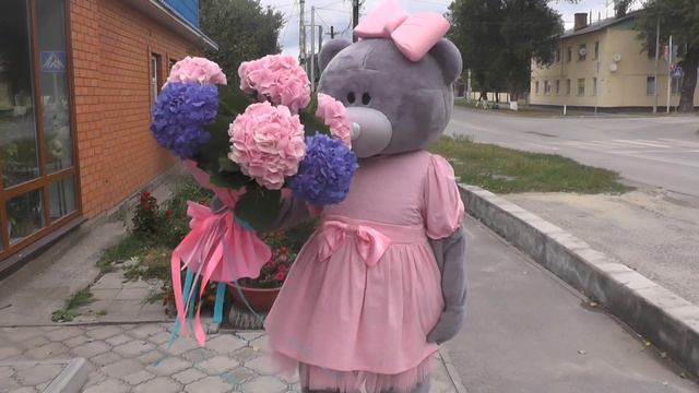 ОБОЖАЮ ГОРТЕНЗИИ .Ростовая кукла МИШКА ТЕДДИ смотреть онлайн