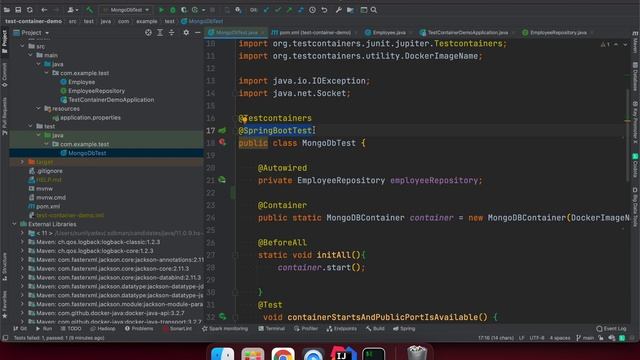 Introduction to TestContainers and Integration testing with SpringBoot & MongoDB смотреть онлайн