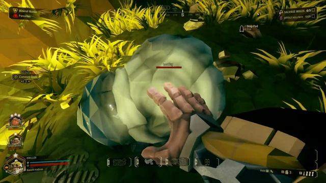 DRG - Petting Loot Bugs смотреть онлайн