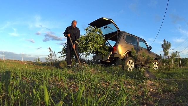 Перевозим березку на Лада 4х4 2020 смотреть онлайн