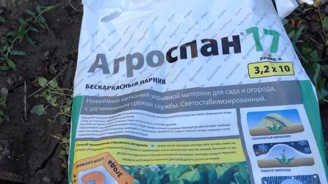 Огурцы под укрывным материалом Агроспан 17 (3,2 на 10м) смотреть онлайн