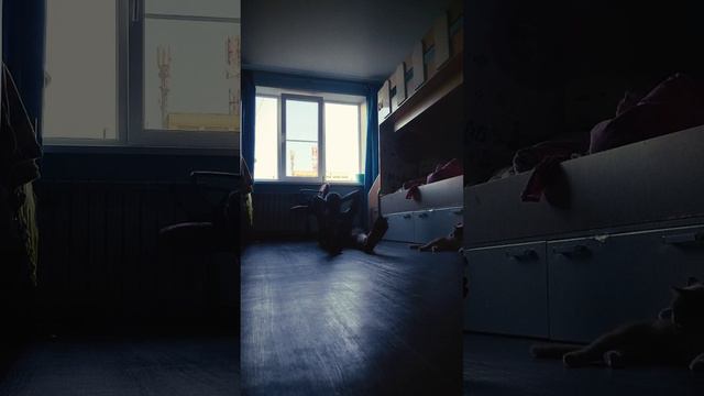 день 29 смотреть онлайн