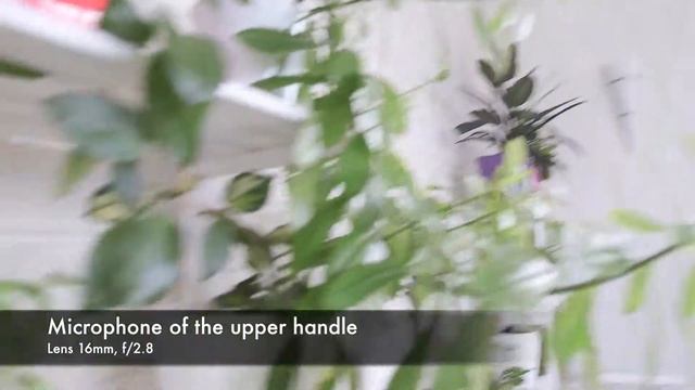 Canon EOS C100 MarkII + EF 16-35 F/2.8L II USM. Test Focus Speed & Noise Of Microphones