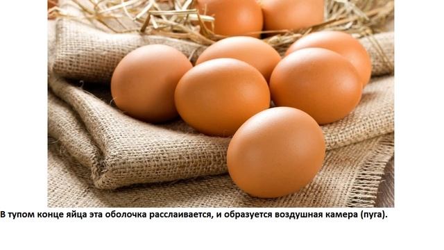 Почему протухщее яйцо всплывает в воде? смотреть онлайн