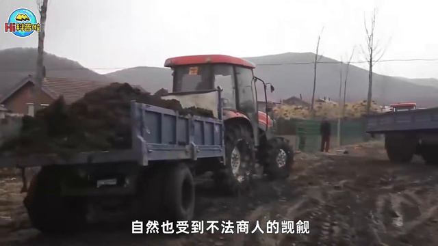 是谁在砸中国人的饭碗？400年才形成的黑土，被4元一斤盗卖！