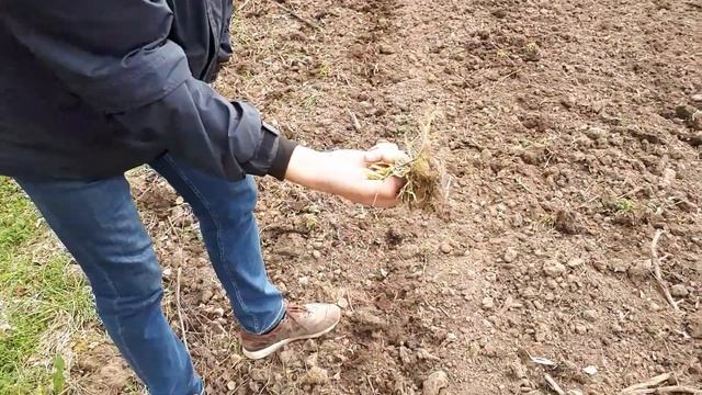 Олег Барсуков Мука ручного помола и Черный хлеб смотреть онлайн