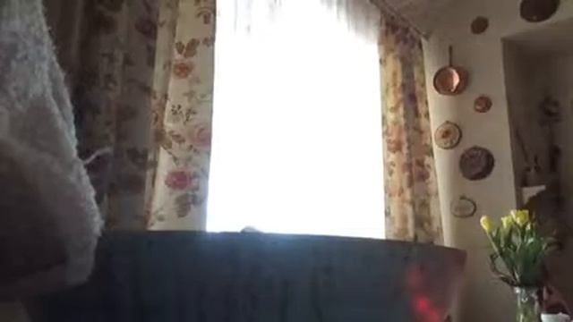 Готовим яишницу глазунью часть 1 смотреть онлайн