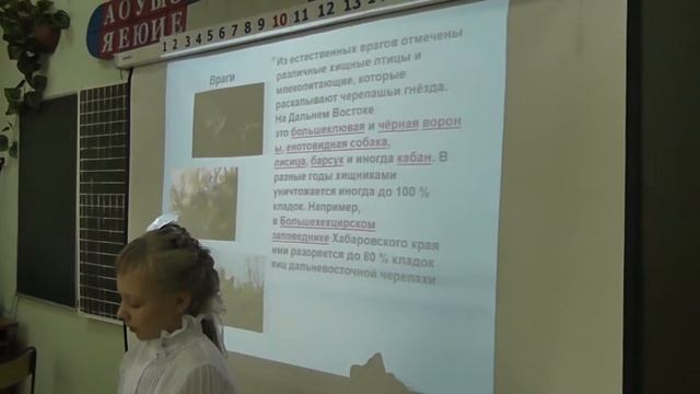 Проект Дальневосточная черепаха смотреть онлайн