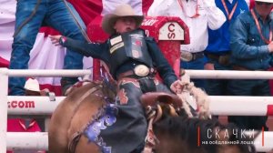 #Родео - виды состязаний