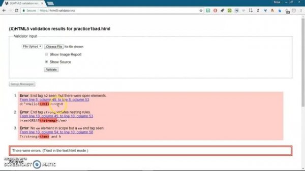 HTML Validator for Web Design Class