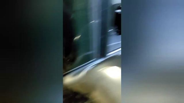 Ходовые огни (ДХО) в дальний свет. смотреть онлайн