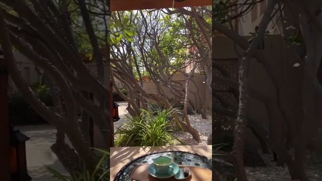 stories anilorak, 24.01.2022 смотреть онлайн